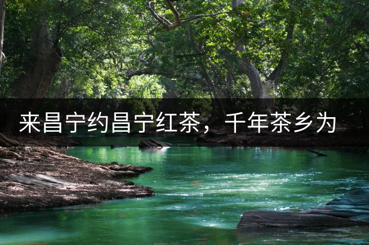 來昌寧約昌寧紅茶，千年茶鄉(xiāng)為您開啟生態(tài)之旅