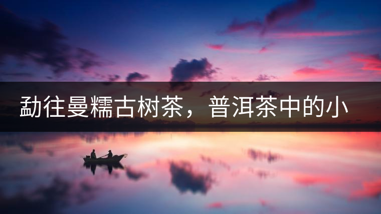 勐往曼糯古樹茶，普洱茶中的小班章