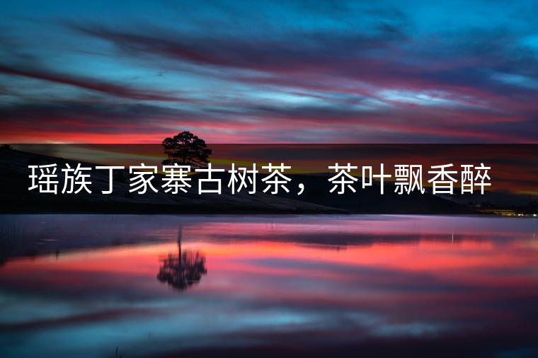 瑤族丁家寨古樹茶，茶葉飄香醉萬家
