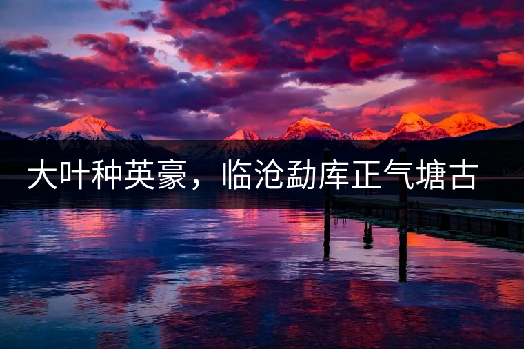 大葉種英豪，臨滄勐庫(kù)正氣塘古樹(shù)茶介紹