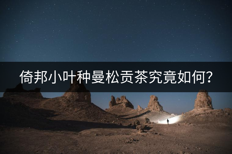 倚邦小葉種曼松貢茶究竟如何？