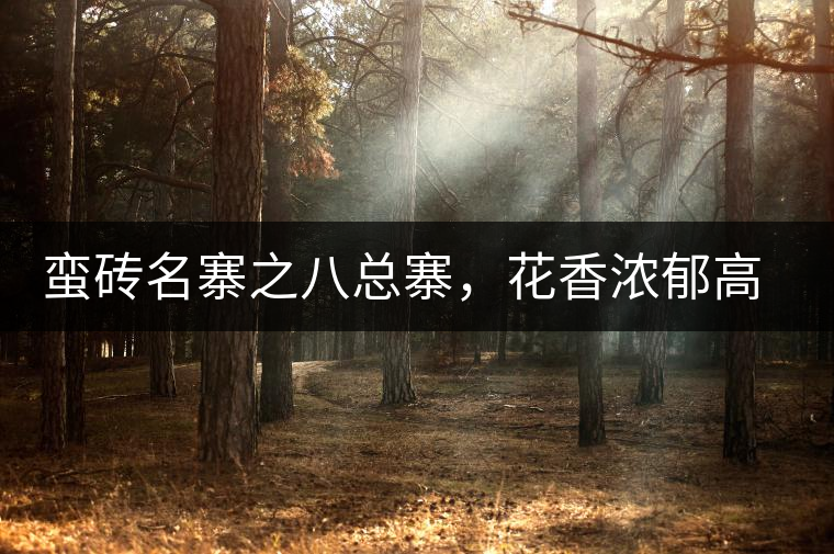 蠻磚名寨之八總寨，花香濃郁高揚