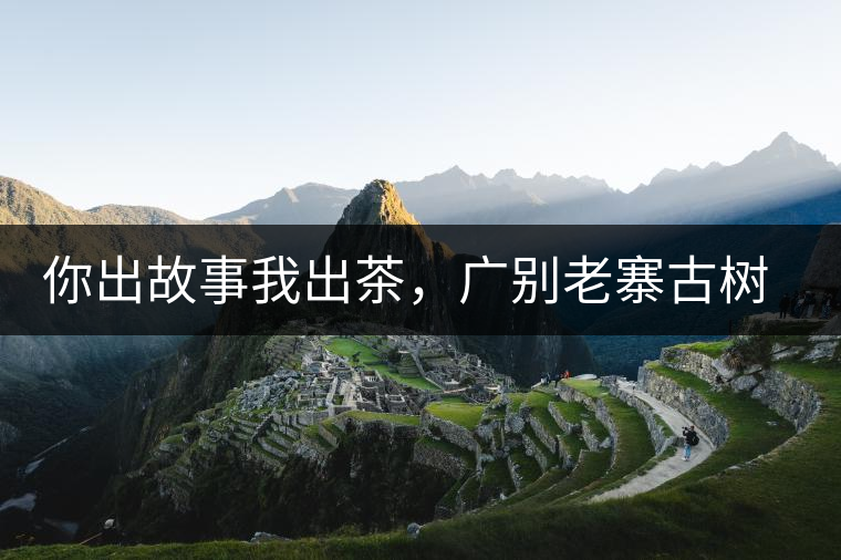 你出故事我出茶，廣別老寨古樹妖茶