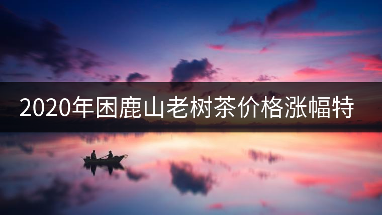 2020年困鹿山老樹茶價格漲幅特點