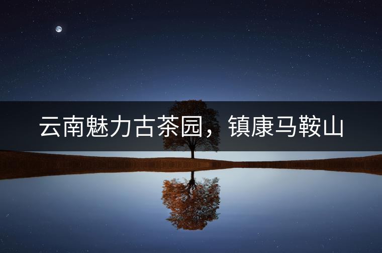云南魅力古茶園，鎮(zhèn)康馬鞍山