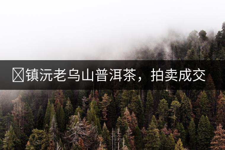 ?鎮(zhèn)沅老烏山普洱茶，拍賣成交價(jià)再創(chuàng)新高