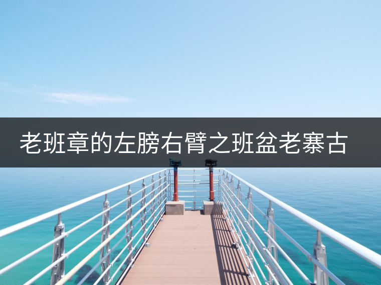 老班章的左膀右臂之班盆老寨古樹(shù)茶