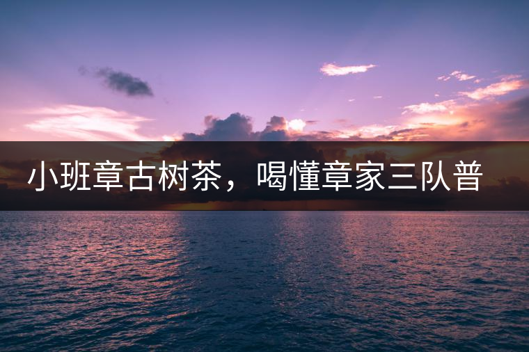 小班章古樹茶，喝懂章家三隊普洱茶