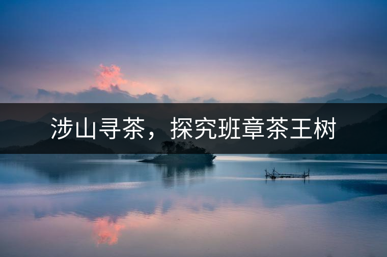 涉山尋茶，探究班章茶王樹(shù)