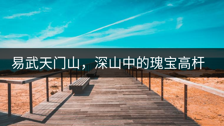 易武天門山，深山中的瑰寶高桿古樹