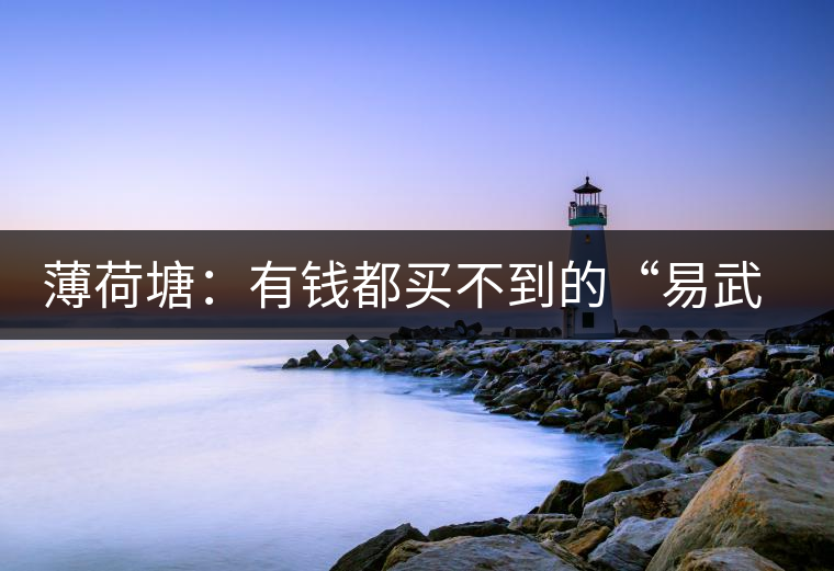 薄荷塘：有錢(qián)都買(mǎi)不到的“易武貴胄”，卓爾不群，無(wú)茶可及