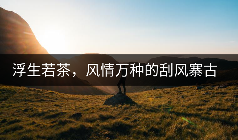 浮生若茶，風(fēng)情萬(wàn)種的刮風(fēng)寨古樹(shù)茶