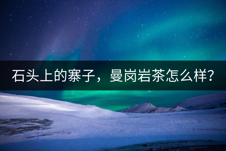 石頭上的寨子，曼崗巖茶怎么樣？