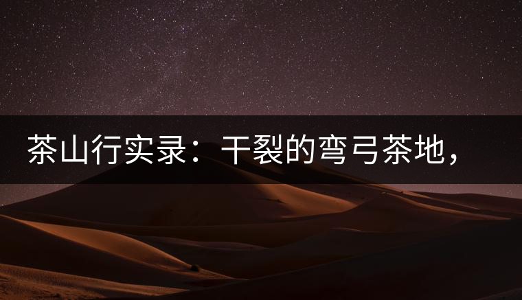 茶山行實(shí)錄：干裂的彎弓茶地，干旱減產(chǎn)已成定局