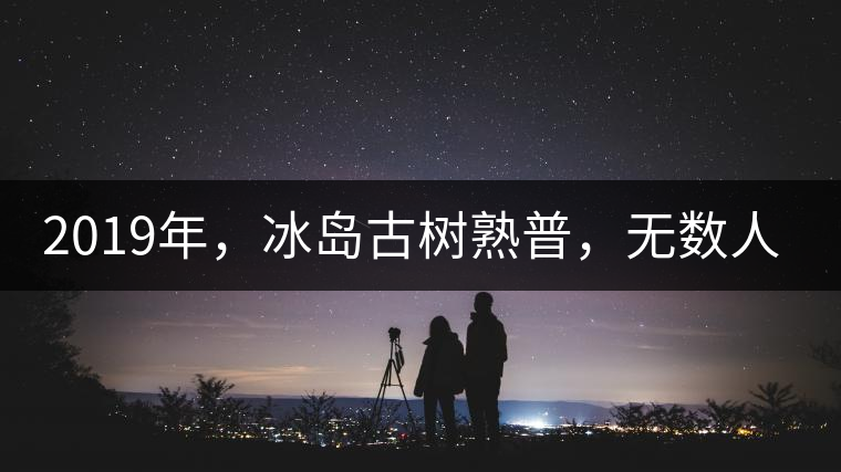 2019年，冰島古樹熟普，無數(shù)人在尋找