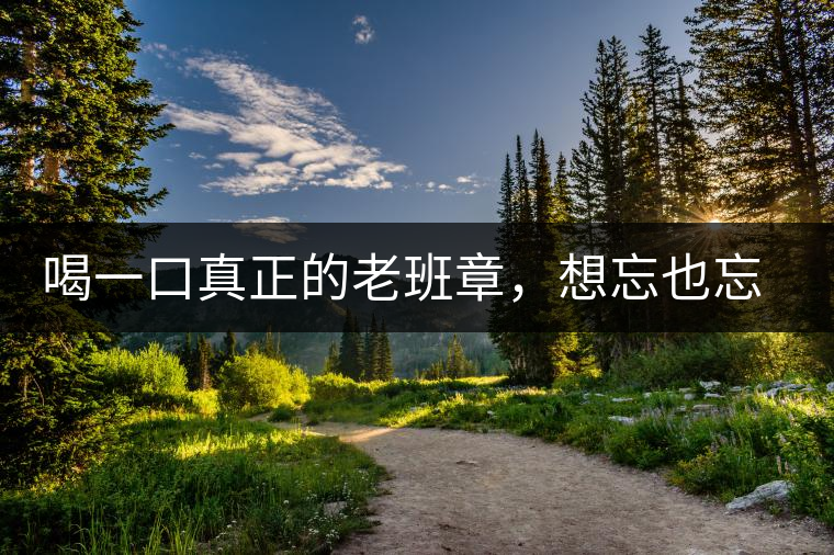 喝一口真正的老班章，想忘也忘不了的味道