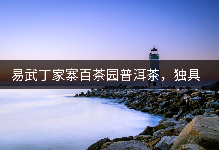 易武丁家寨百茶園普洱茶，獨具魅力的原始古樹茶