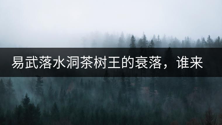 易武落水洞茶樹王的衰落，誰來關注古樹茶？