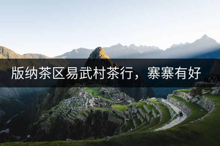 版納茶區(qū)易武村茶行，寨寨有好茶處處古茶香