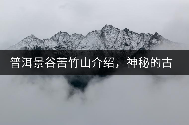 普洱景谷苦竹山介紹，神秘的古樹普洱茶原產(chǎn)地