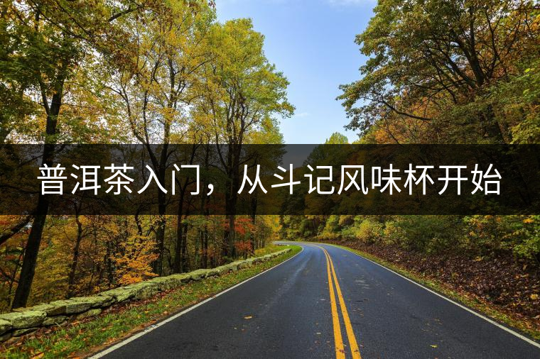 普洱茶入門(mén)，從斗記風(fēng)味杯開(kāi)始