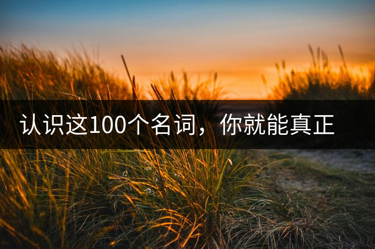 認(rèn)識(shí)這100個(gè)名詞，你就能真正了解普洱茶？