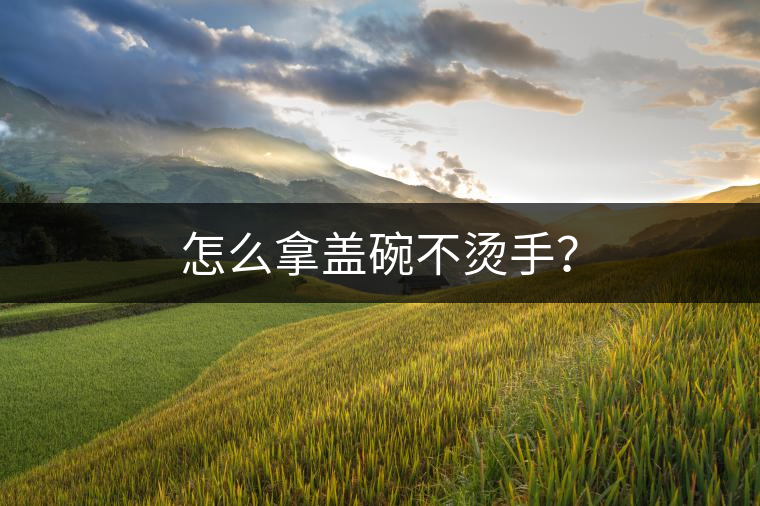 怎么拿蓋碗不燙手？