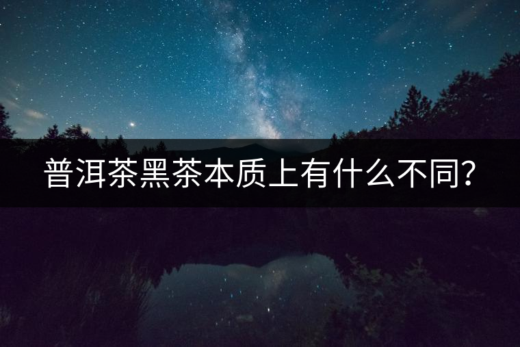 普洱茶黑茶本質(zhì)上有什么不同？