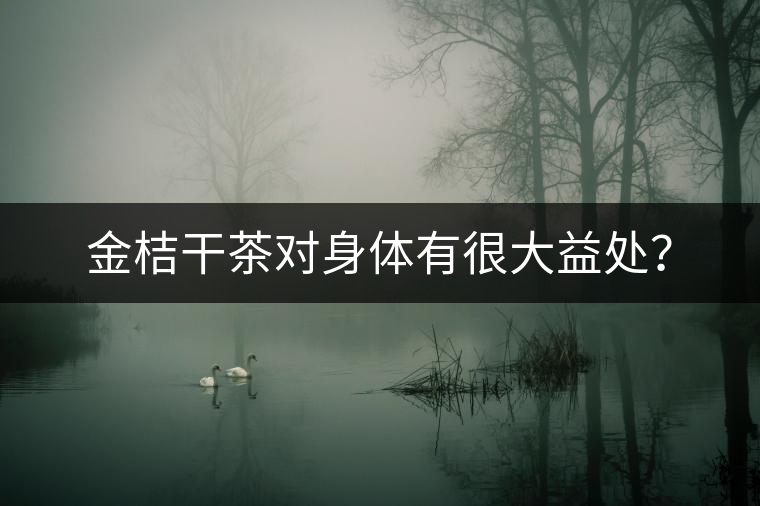 金桔干茶對(duì)身體有很大益處？