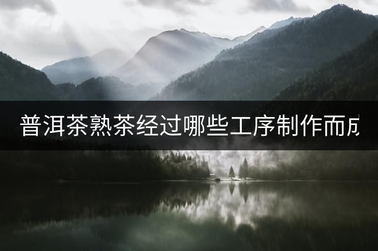 普洱茶熟茶經(jīng)過哪些工序制作而成？