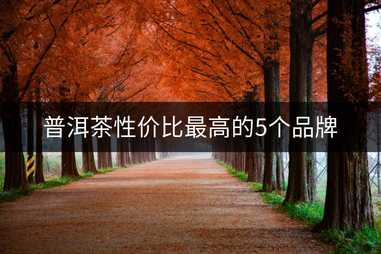 普洱茶性價(jià)比最高的5個(gè)品牌 普洱茶性價(jià)比最高的5個(gè)品牌