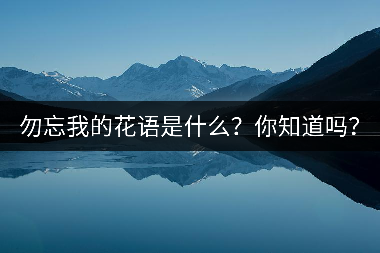 勿忘我的花語是什么？你知道嗎？