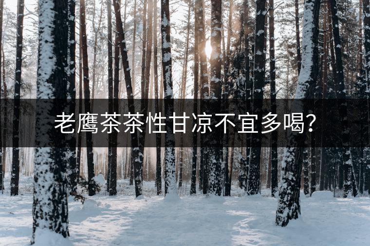 老鷹茶茶性甘涼不宜多喝？