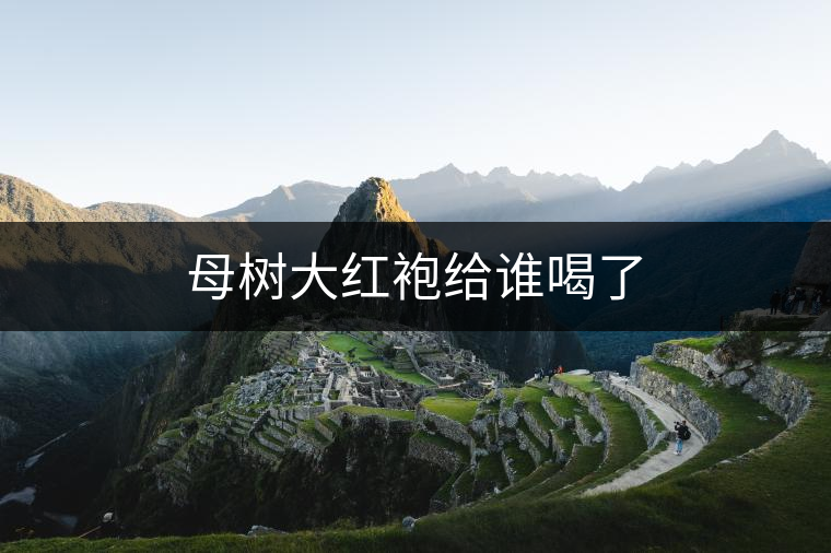 母樹(shù)大紅袍給誰(shuí)喝了 母樹(shù)大紅袍給誰(shuí)喝了