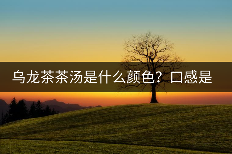 烏龍茶茶湯是什么顏色？口感是什么？