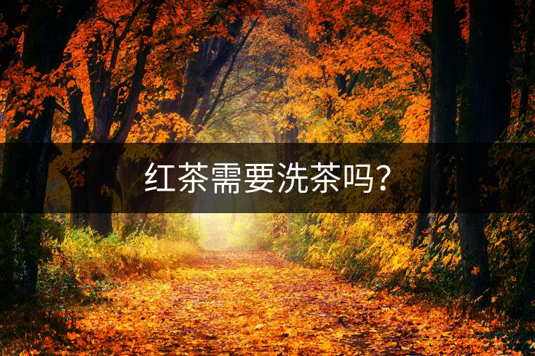 紅茶需要洗茶嗎？
