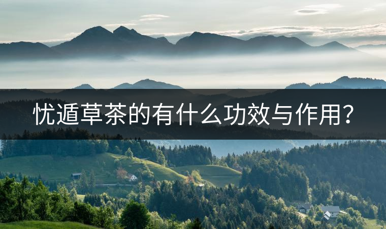 憂遁草茶的有什么功效與作用？