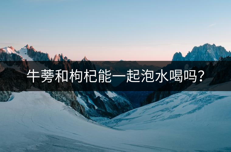 牛蒡和枸杞能一起泡水喝嗎？