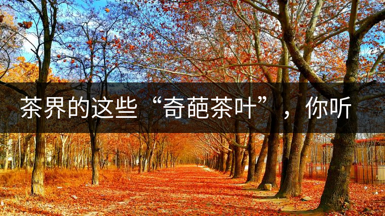 茶界的這些“奇葩茶葉”，你聽(tīng)說(shuō)過(guò)嗎？