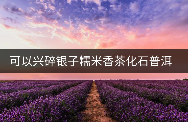 可以興碎銀子糯米香茶化石普洱茶熟茶特級(jí)易武古樹(shù)茶葉禮盒裝送禮 可以興碎銀子糯米香茶化石普洱茶熟茶特級(jí)易武古樹(shù)茶葉禮盒裝送禮