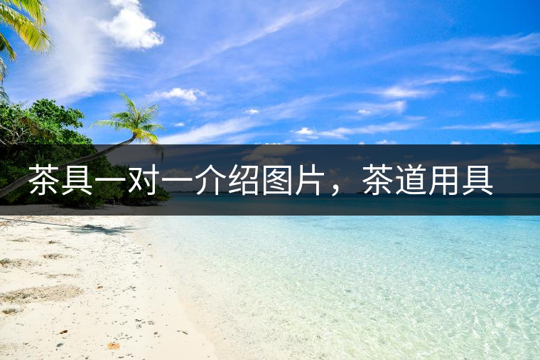 茶具一對(duì)一介紹圖片，茶道用具圖解