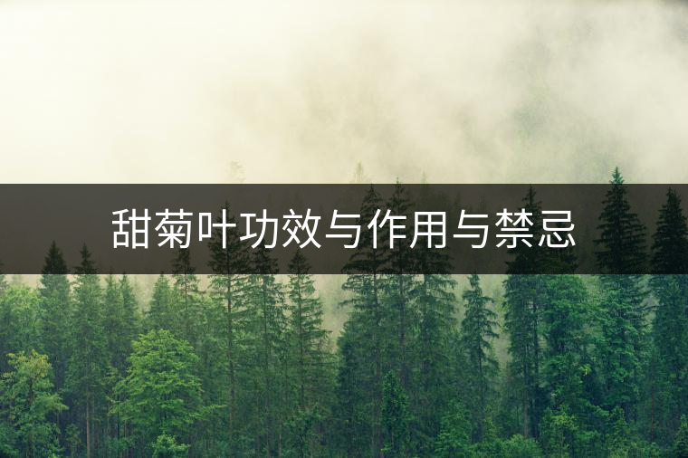 甜菊葉功效與作用與禁忌 甜菊葉功效與作用與禁忌