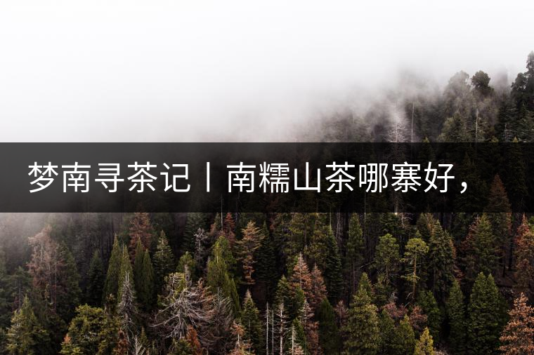 夢(mèng)南尋茶記丨南糯山茶哪寨好，半坡老寨數(shù)第一