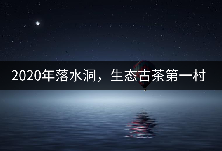 2020年落水洞，生態(tài)古茶第一村-易武中聘號(hào)