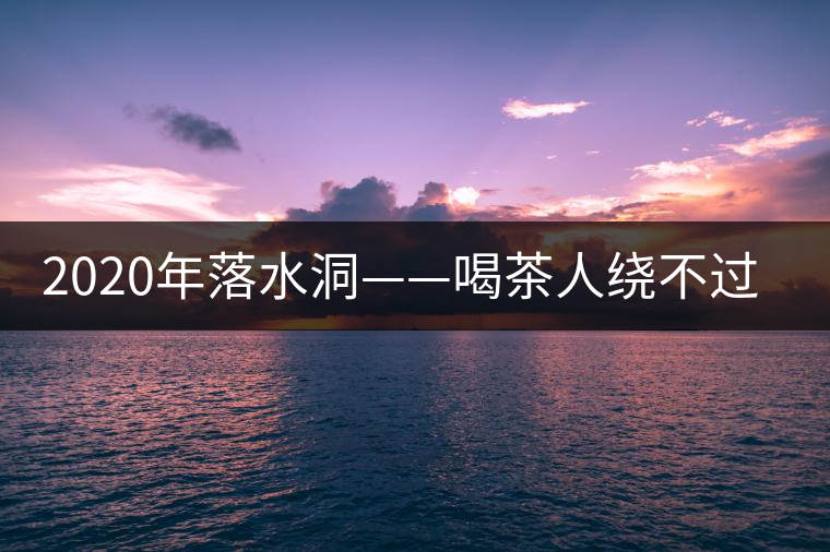 2020年落水洞——喝茶人繞不過的溫柔鄉(xiāng)！-易武中聘號