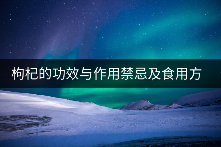 枸杞的功效與作用禁忌及食用方法 枸杞的功效與作用禁忌及食用方法