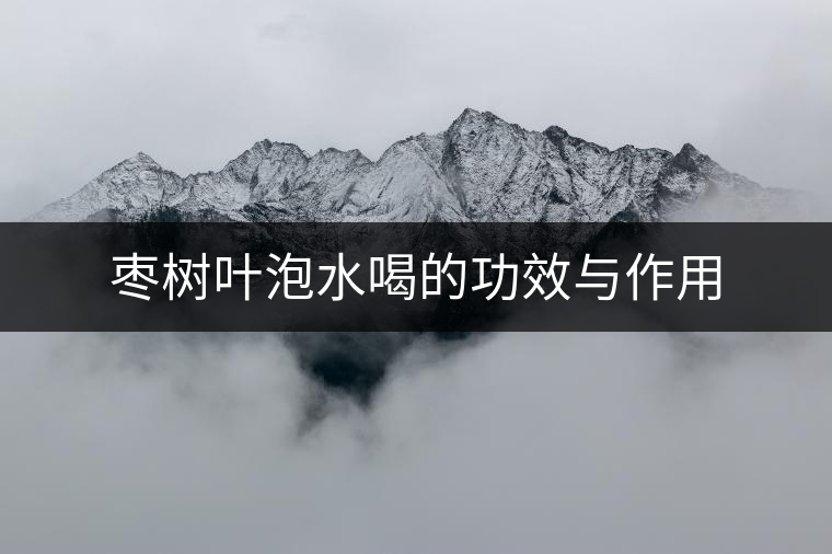 棗樹葉泡水喝的功效與作用