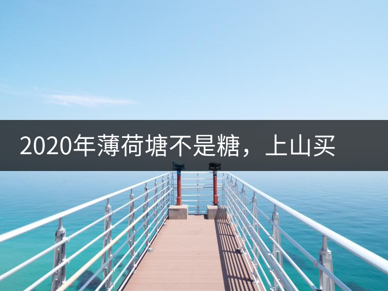 2020年薄荷塘不是糖，上山買茶除了帶鈔票還得搖號(hào)-易武中聘號(hào)