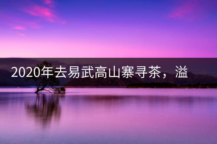 2020年去易武高山寨尋茶，溢滿茶香的古樹寨子-易武中聘號(hào)