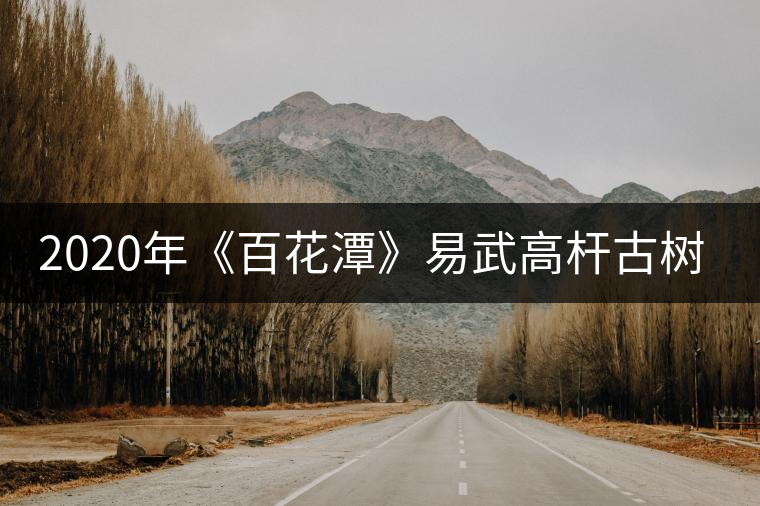 2020年《百花潭》易武高桿古樹茶中貴族-易武中聘號